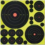 Birchwood Casey Shoot-N-C Variety Pack, 50 Bullseye Targets   50 Pasters