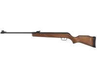 Gamo Hunter Big Cat Air Rifle