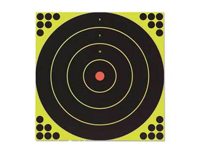 Birchwood Casey Shoot-N-C Bullseye Targets, 12", 5 Targets   120 Pasters