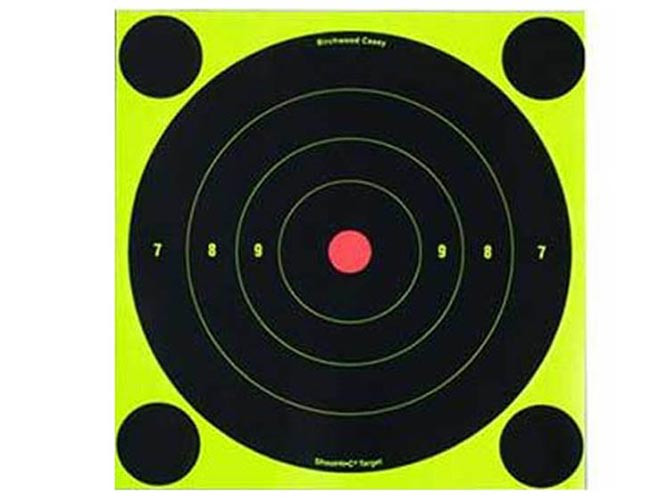 Birchwood Casey Shoot-N-C Targets, 8" Bullseye, 30 Targets   120 Pasters