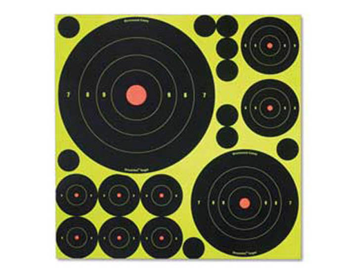 Birchwood Casey Shoot-N-C Variety Pack, 50 Bullseye Targets   50 Pasters