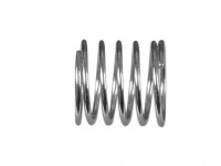 Valve Spring