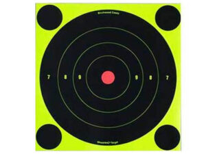 Birchwood Casey Shoot-N-C Targets