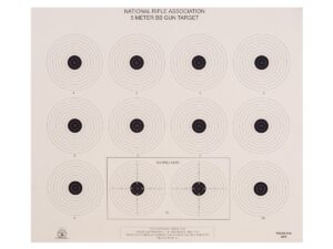 National Target NRA 5 meter BB Gun Target