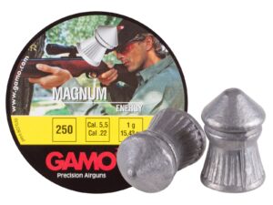Gamo Magnum .22 Cal