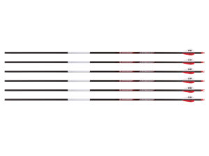 Bloodsport Judgement Arrow