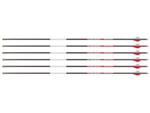 Bloodsport Justice Arrow