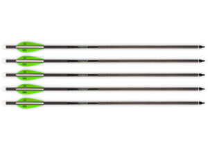 Barnett HeadHunter 22" Arrows