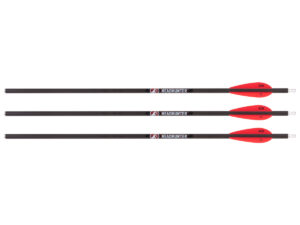 Barnett HeadHunter 20" Lighted Arrows