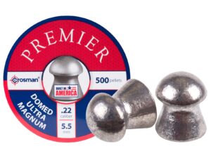 Crosman Premier .22 Cal
